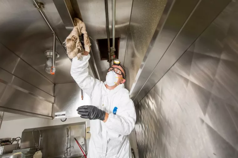 Professionnel pour nettoyage industriel dans usine de production agroalimentaire les soirs en semaine, Melun, Planeta Propreté Hygiène Services